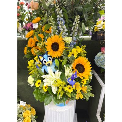 DiBella Flowers & Gifts Las Vegas - Little Sunshine Arrangement In the Cooler 