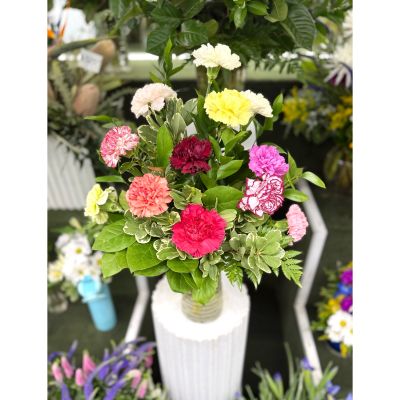 DiBella Flowers & Gifts Las Vegas - Dozen Colorful Carnations Arrangement In the Cooler 