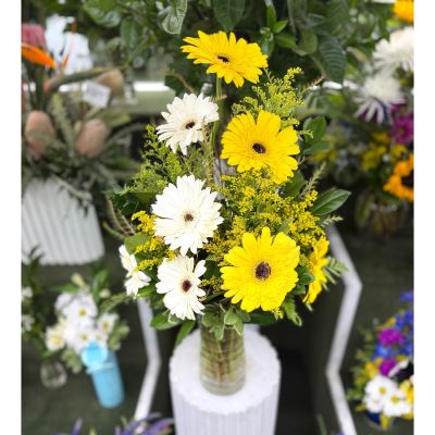 DiBella Flowers & Gifts Las Vegas - Growing Garden Arrangement In the Cooler