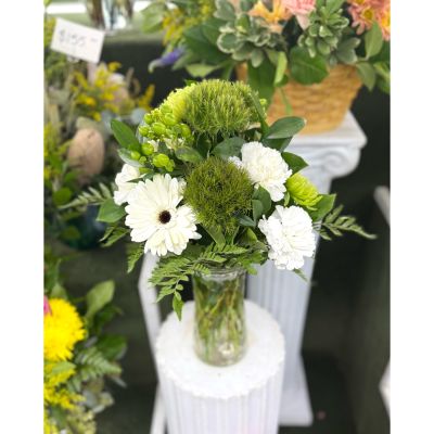 DiBella Flowers & Gifts Las Vegas - Clean Green Arrangement In the Cooler