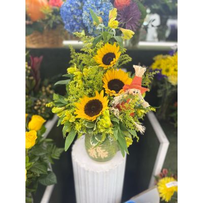 DiBella Flowers & Gifts Las Vegas - Sweet Scarecrow Pitcher Arrangement In the Cooler