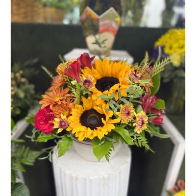 DiBella Flowers & Gifts Las Vegas - Sweet Sunshine Arrangement In the Cooler
