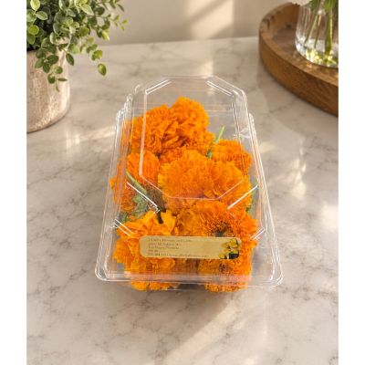 DiBella Flowers & Gifts Las Vegas - Box of Marigold heads with approx 12 marigolds.