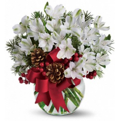 Newtown Floral Company Newtown - No matter how frightful the weather might be outside, it will be cozy and bright inside when you send this delightful winter white arrangement. Perfect for friends, family and colleagues, it's so nice - especially for the price!<br />

			Pretty red spray roses accent white alstroemeria, berries, pinecones and Douglas fir accents in a clear glass bowl. Tied with a bright red satin ribbon, it's truly charming.<br /><br />Approximately 12" W x 12" H<br />
Orientation: One-Sided<br />
					
              
					As Shown : T128-1ADeluxe : T128-1BPremium : T128-1C
              