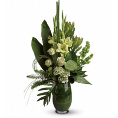Newtown Floral Company Newtown - Certain to garner a lot of attention, this gorgeously green arrangement is a fresh idea for both men and women. Many shades of green display many shades of brilliance.<br />

			Green roses, gladioli, carnations, lotus pod, leucadendron, bells of Ireland, green button spray chrysanthemums, ti leaves, fern and grass create a lively forest-like feeling.<br /><br />Approximately 18" W x 29" H<br />
Orientation: One-Sided<br />
					
              
					As Shown : T86-1ADeluxe : T86-1BPremium : T86-1C
              