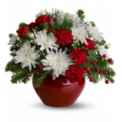 Newtown Floral Company Newtown - So bright and festive, this gem of a holiday arrangement is sure to be treasured.<br /><br />

			With all of the makings for a holiday celebration, a unique cranberry-colored jardinière vase holds the perfect mix of red roses, carnations and berries, white chrysanthemums and winter greens container may vary. Now how's that for jolly?<br /><br />Approximately 12" W x 10" H<br /><br />
Orientation: All-Around<br />
					
              
					As Shown : T126-1ADeluxe : T126-1BPremium : T126-1C
              