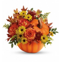 Newtown Floral Company Newtown - Everyone falls for this fabulous fall gift! Celebrate the season with this autumn arrangement of roses and alstroemeria, arranged in a classic ceramic pumpkin they'll use year after year!<br />

			Includes a lush mix of orange roses, orange alstroemeria, burgundy cushion chrysanthemums, yellow daisy chrysanthemums, solidago, and oak leaves. Delivered in a  ceramic pumpkin with lid. Orientation: One-Sided<br />color may vary slightly
					
              
					As Shown : T13H110ADeluxe : T13H110BPremium : T13H110C
              