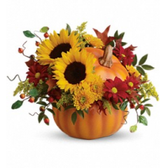 Newtown Floral Company Newtown - Rustic autumn flowers are stunning in a hand-painted ceramic pumpkin that looks like it just came from the patch. What a truly gorgeous gift for somebody special. They'll love it year-round - for flowers, candy or just to admire.<br />

			The radiant bouquet includes yellow sunflowers, yellow cushion spray chrysanthemums, red daisy spray chrysanthemums, solidago, huckleberry and oak leaves.<br /><br />Approximately 15 1/2" W x 12" H<br />
Orientation: One-Sided<br />
					
              
					As Shown : T11H110ADeluxe : T11H110BPremium : T11H110C
              
