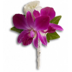 Newtown Floral Company Newtown - Varigated purple dendrobian orchid boutonierre