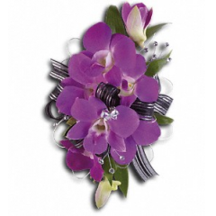 Newtown Floral Company Newtown - 