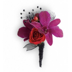 Newtown Floral Company Newtown - You're a star in purple orchids with red spray roses and hypericum.<br />

			Purple dendrobium orchids, red spray roses and red hypericum with black rhinestone accents.<br /><br />Approximately 2 1/2" W x 4" H<br />
Orientation: N/A<br />
					
              
					As Shown : TPR07-1A
              