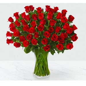 Newtown Floral Company Newtown - 50 gorgeous long stem roses in a glass vase. Impress her on Valentine's Day.