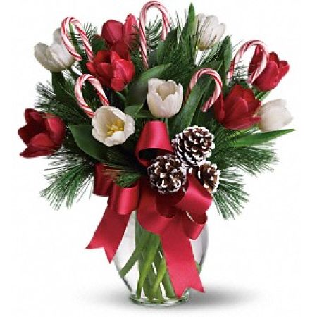 Newtown Floral Company Newtown - Imagine what would happen if you combined everyone's holiday favorites and arranged them in a beautiful Christmas bouquet. The results would be very sweet indeed, as they are in this fantastic gift!<br />

			Bright red and white tulips, real candy canes, pinecones and holiday greens in a pretty ginger vase come all wrapped up in a pretty holiday bow. Eye candy with real candy, what a treat.<br /><br />Approximately 14" W x 15 1/2" H<br />
Orientation: All-Around<br />
					
              
					As Shown : T118-2ADeluxe : T118-2BPremium : T118-2C
              