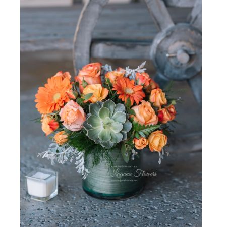 Laguna Flowers Elk Grove - This beautiful orange bouquet has orange roses, spray roses, gerbera daisies, dusty miller and succulent plant that can be planted later on to be enjoyed for many days to come.  It is inside a clear cylinder vase that is wrapped by a green waterproof ribbon.