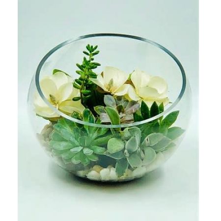 Laguna Flowers Elk Grove - Succulent plants inside a glass bowl.  An elegant gift to that someone special.  The flowers inside the bowl with plants are made of silk for the design purpose only.  They look like real flowers and give this beautiful succulent bowl a unique look.