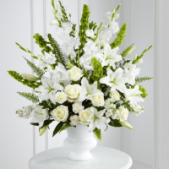 Superior Florist Ltd New York - The Morning Stars Arrangement is a traditional and serene sympathy display, elegantly composed with all-white blooms. This timeless arrangement captures the quiet beauty of condolence, using the purity of white flowers to convey a sense of reverence and peace. The carefully selected blossoms come together harmoniously, creating a comforting and dignified presence. The Morning Stars Arrangement stands as a symbol of solace and remembrance, offering a heartfelt tribute to honor and celebrate the life of a loved one with grace and tranquility.