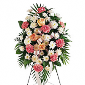 Superior Florist Ltd New York - The Gentle Thoughts Spray conveys heartfelt condolences with its delicate blend of pink and white flowers. This lovely spray is a poignant expression of sympathy, extending compassion and solace to all in attendance. The soft hues of pink and white create a serene and comforting atmosphere, offering a tender tribute to honor and remember a cherished individual. In its gentle beauty, this spray serves as a meaningful gesture of support during moments of sorrow.
