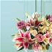 Superior Florist Ltd New York - An arrangement of pink, lavender and yellow.