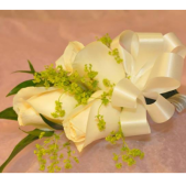 Superior Florist Ltd New York - A beautiful corsage.