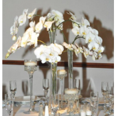 Superior Florist Ltd New York - A slim, elegant centerpiece designed to be subtle.