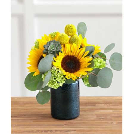 Superior Florist Ltd New York - "Sunshine" is a vibrant and uplifting arrangement featuring sunflowers, eucalyptus, and Craspedia. With the option for same-day flower delivery, you can promptly share this lively and cheerful bouquet for various occasions. Whether it's to brighten someone's day, celebrate, or convey warm wishes, "Sunshine" offers a visually stunning and joyful floral presentation. The combination of sunflowers, eucalyptus, and Craspedia creates a dynamic and energetic display, making it a perfect choice for those who appreciate the vibrant and natural beauty of sunlit blooms.