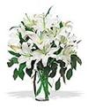 Superior Florist Ltd New York - 