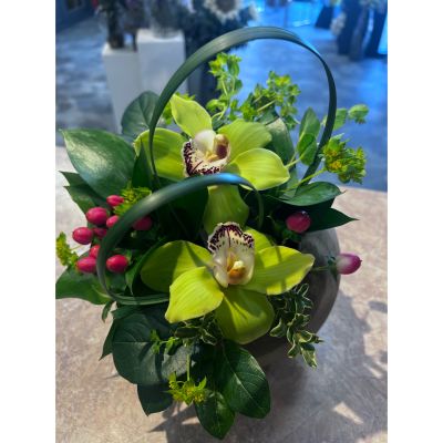 Uptown Blossoms  - Each week we will have a new special. This week is orchids in a concrete container. $100 dollar value for $85