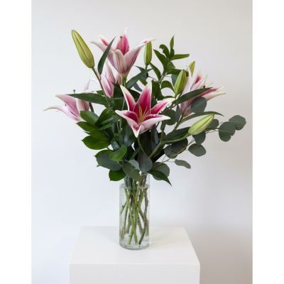 Uptown Blossoms Anchorage - Fragrant lilies in a nice clear vase with lush greens and accents. Higher price will have more stems. Currently only  pink available.
 
