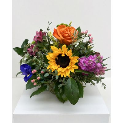 Uptown Blossoms Anchorage - Bring sunshine indoors with our Uptown Sunflower Bright Mix, a vibrant explosion of color and joy. 
Golden sunflowers take center stage, beautifully complemented by rich purple stock, magenta roses, and delicate lilies.
This stunning **flower arrangement** is perfect for brightening any room or as a thoughtful **gift** for birthdays, celebrations, or simply to say “thinking of you.”
Experience the warmth and beauty of fresh **sunflowers** and create a moment of pure happiness with this unforgettable **bouquet**.