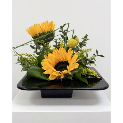 Uptown Blossoms Anchorage - Bring sunshine indoors with our ‘Sunflower Special’ – a radiant burst of joy featuring lush, golden blooms. 
These stunning sunflowers, evoke feelings of warmth and happiness. 
Perfect as a thank you gift, a cheerful pick-me-up, or to simply brighten your own space with natural beauty.
Order today and let the vibrant energy of sunflowers illuminate any room!