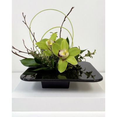 Uptown Blossoms Anchorage - The ‘Orchid Special’ is a stunning, modern orchid arrangement featuring delicate, lavender cymbidium blooms. Nestled amongst vibrant greenery and presented in a striking red container, it’s a touch of elegant sophistication for any space. Send this unique floral gift to express sympathy, congratulations, or simply to brighten someone’s day with lasting beauty. A captivating centerpiece that speaks volumes with its understated grace and exquisite detail. Other colors available.