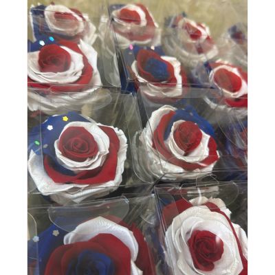 Uptown Blossoms Anchorage - single stem of preserved rose. Red, white and blue with some sparks. 