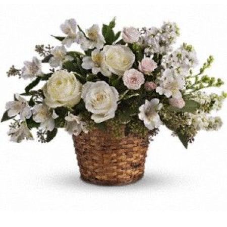 Boulder City Florist Boulder City - Send comfort and thoughts of hope for a brighter day with this peaceful basket of white sympathy blooms