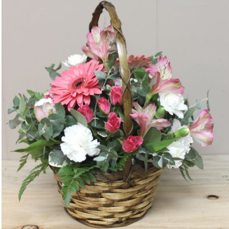 Boulder City Florist Boulder City - Sweet Romance
Send this sweet basket full of fresh Gerbera Daisies, Alstromeria lilies, Spray roses and more!