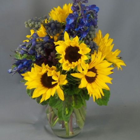 Bouquets Denver - Welcome the rustic charm of "Country Time," a delightful arrangement featuring the warmth of sunflowers and the cool allure of blue flowers. Enjoy the immediate beauty with our same-day flower delivery, ensuring this country-inspired bouquet graces your space promptly. Immerse yourself in the harmonious blend of sun-kissed yellow and calming blue hues, evoking a picturesque countryside scene. Elevate your surroundings with the inviting and laid-back atmosphere of "Country Time." Make a statement with this thoughtfully curated arrangement, perfect for adding a touch of rural elegance to any occasion. Delight in the unique pairing of sunflowers and blue flowers, creating a visually striking and comforting floral ensemble. Share the tranquility of the countryside or infuse your space with the rustic charm of this delightful bouquet.