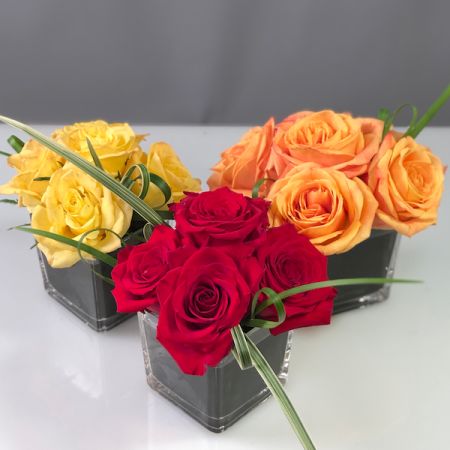 Bouquets Denver - Elevate your space with a trio of glass vases, each holding a vibrant presentation of roses in hot colors. Use them as a striking composite or scatter them individually throughout your home. Embrace the element of surprise with random colors based on market availability, always ensuring the finest quality. Opt for short-stem roses for an added touch of sophistication and a longer vase life. Enjoy the immediate beauty of same-day flower delivery, bringing a burst of elegance to your space with the choicest roses.