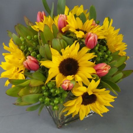 Bouquets Denver - Introducing "Sunflower Sunrise," a radiant bouquet featuring the bold presence of sunflowers and the graceful elegance of tulips, complemented by a variety of harmonizing florals. Embrace the lively burst of colors that vary, creating a stunning and dynamic floral display. Enjoy the convenience of same-day flower delivery, ensuring the warmth of "Sunflower Sunrise" graces your space promptly. Elevate your surroundings with the vibrant energy and cheerful allure of this thoughtfully curated arrangement. Make a statement with the captivating combination of sunflowers and tulips, perfect for celebrating life's bright moments. Delight in the ever-changing palette that adds a touch of spontaneity and joy to your home or a loved one's space. Share the beauty of "Sunflower Sunrise" as a thoughtful and uplifting gift, capturing the essence of a colorful dawn.






