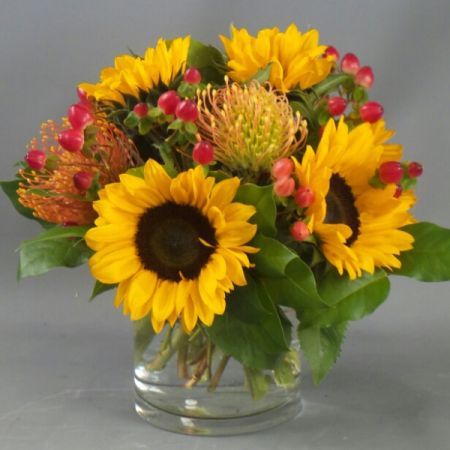 Bouquets Denver - Experience the vibrant energy of sunflowers paired with the enduring beauty of pincushion proteas and adorned with adorable hypericum berries. Revel in the diverse textures and cheerful hues that make this bouquet truly special. Enjoy the convenience of same-day flower  delivery, ensuring this delightful arrangement promptly brightens your space. Elevate your surroundings with the unique combination of sunflowers, pincushion proteas, and hypericum berries, adding a touch of charm to any setting. Make a statement with this thoughtfully curated bouquet, perfect for celebrating life's joyful moments. Delight in the longevity of pincushion proteas and the cuteness of hypericum berries, creating a visually appealing and enduring floral ensemble. Share the happiness with someone special or enhance your own space with this lively and delightful bouquet.
