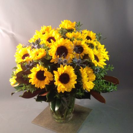 Bouquets Denver - Bask in the brilliance of an extraordinarily bright and generous arrangement featuring fresh sunflowers. Enjoy the immediate beauty with our same-day flower delivery, ensuring this vibrant display graces your space promptly. Let the sunflowers' radiant hues bring warmth and joy to any occasion. Elevate your surroundings with the bold and cheerful presence of these sun-kissed blooms. Make a statement with this thoughtfully curated arrangement that embodies the spirit of positivity. Delight in the abundance of sunshine captured in each petal, creating a visually stunning and uplifting floral ensemble. Brighten someone's day or celebrate a special moment with the radiant charm of this sunflower arrangement.