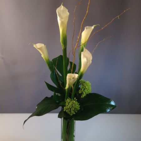 Bouquets Denver - Crisp, elegant and sophisticated arrangement with tropical leaves and premium white calla. Farm-fresh tall premium white calla lilies in tall vase. 